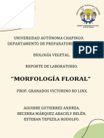 Morfologia Vegetal