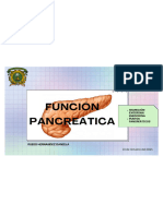 Función Pancreatica