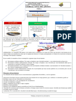 MECANICA (Generalidades y Movimiento Rectilineo)