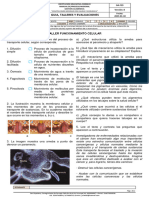 Biologia 04. Taller Funcionamiento Celular