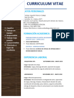 Curriculum Vitae