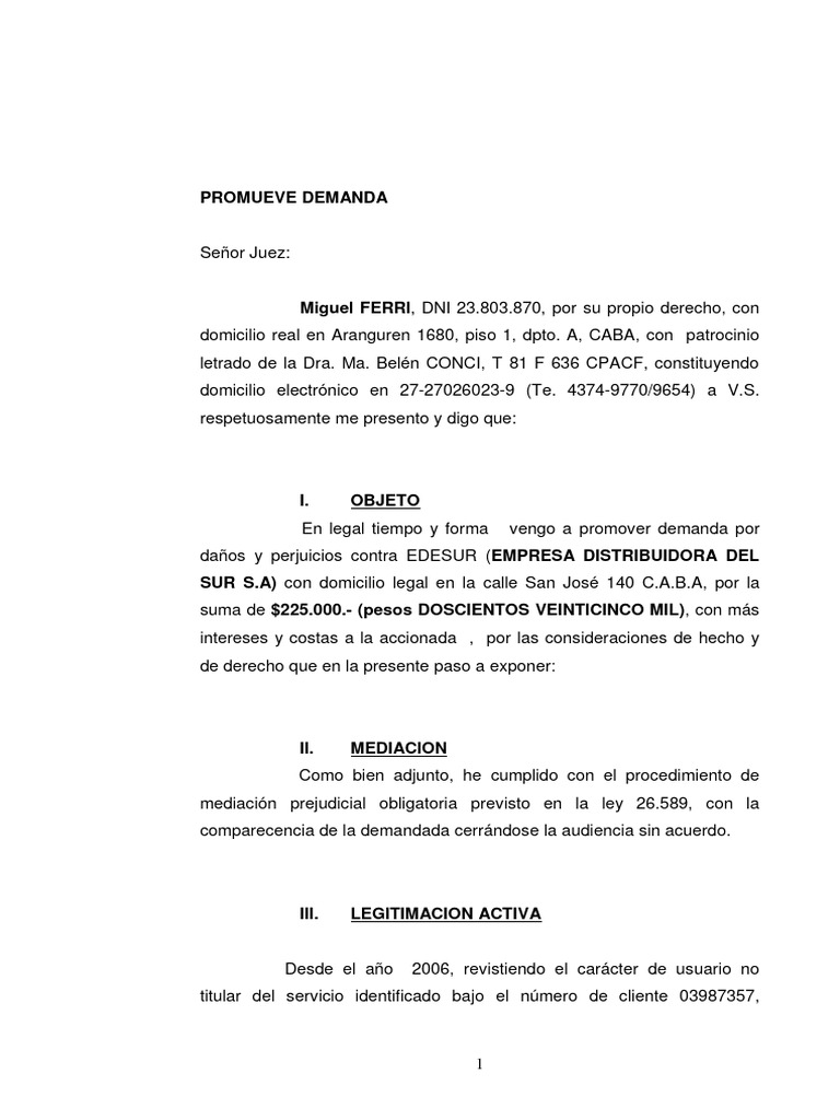 Demanda por Daños contra EDESUR | PDF | Daños y perjuicios | Los ...