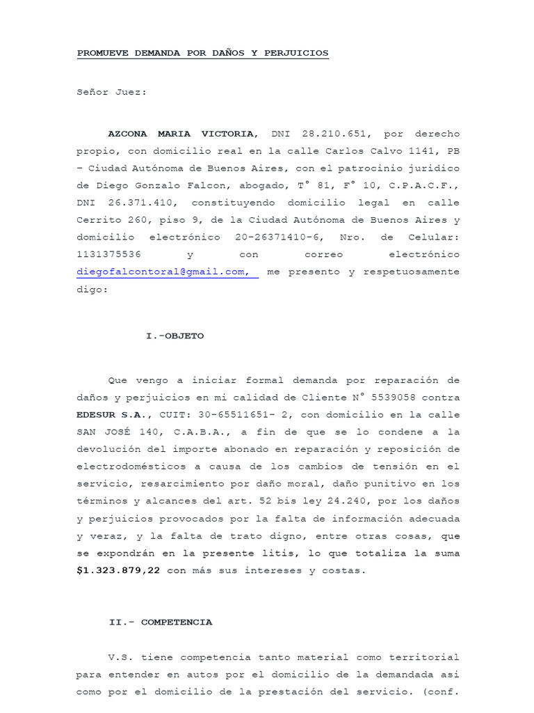 Demanda por Daños contra EDESUR | PDF | Los consumidores | Daños y ...