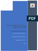 GPFP - Semana 3 - Ensayo Financiamiento de La Organizacion