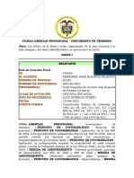 Fichas Libertad Provisional - Vencimiento de Términos