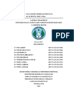 Kelompok 3 - Laporan Praktikum Surveilens Data 10 Penyakit Rumah Sakit Catherine Booth - Div Tingkat Ivb