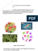 Bacterias y Virus