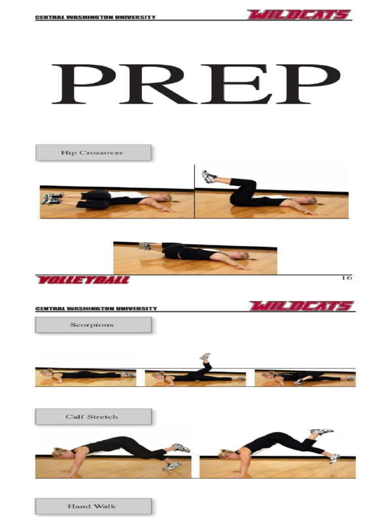 Work Out in Volleyball | PDF