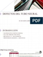 Defectos Del Tubo Neural