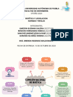 Mapa - Conceptual - Normas y Reglas. BL