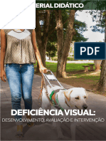 6 - Deficiência-Visual-Desenvolvimento-Avaliação-E-Intervenção