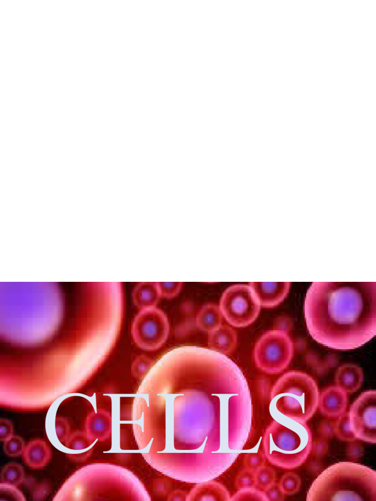 EUKARYOTIC CELL STRUCTURE AND FUNCTION PDF NOTES visual data 8