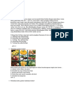 Biologi - Usem 6 Sma SKJ Jabung 2024