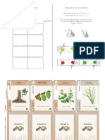 Jogo-Plantas Medicinais3