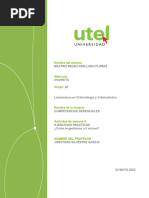 Formato de Entrega de Tareas UTEL | PDF