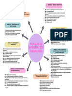 Normas de Información Financiera: Módulo 1 - Marco Conceptual