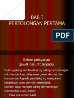 Pertolongan Pertama