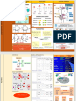 Resumen Biomoleculas.