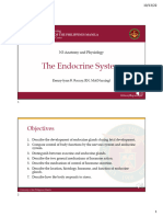 Endocrine System - HANDOUTS