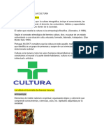 La Concepción de La Cultura Infografia