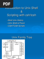 TCSH Scripting MCSR Basic