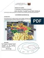 PDF Representacion y Operaciones Con Numeros Racionales Compress