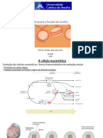 AULA 3 - Estrutura e Função Do Núcleo