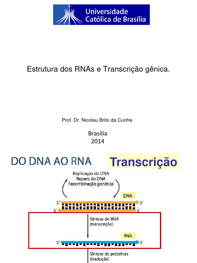 Estrutura e Função dos RNAs e Transcrição | PDF | Promotor (genética ...