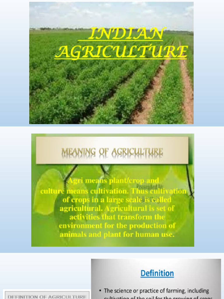 Introduction to Indian Agriculture | PDF | Agriculture | Intensive Farming
