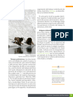 Proceso Adminitrativo