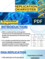 DNA Replication in Prokaryotes
