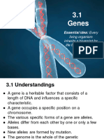 IB Biology 3.1 Genes