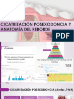 Cicatrización Posexodoncia Final