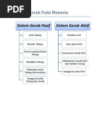 Download Makalah Sistem Gerak Pada Manusia by Rahmat SN70754275 doc pdf