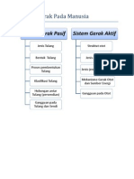 Makalah Sistem Gerak Pada Manusia