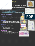 Cell Cycle & Mitosis