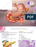 Hormonas Pancreáticas - Insulina y Glucagón