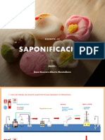 Examen 13. Saponificación