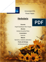 Herbolaria - Andrea Escamilla Pérez