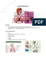 Sistem Respirasi TM 5