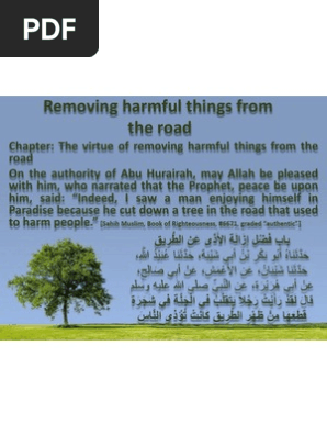 Removing Harmful Things From The Road Sharia Islamic Belief And Doctrine