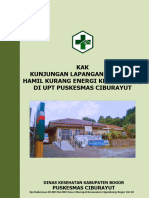 KAK Kunjungan Rumah Bumil KEK 2023