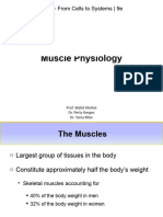 Muscle Physiology