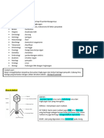 Us Biologi.docx