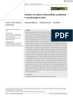 Plant Enviro Interactions - 2020 - Adu Gyamfi - Genotypic Characterization of Cashew Anacardium Occidentale L Clones