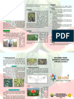 Leaflet Budidaya Semangka