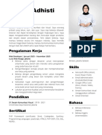 CV Template 0004