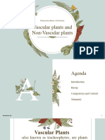 Vascular Plants and Non-Vascular Plants Presentation