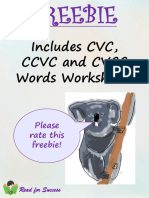 CVC and CVC Assesment