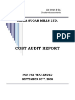 Mirza Cost Audit - 2008